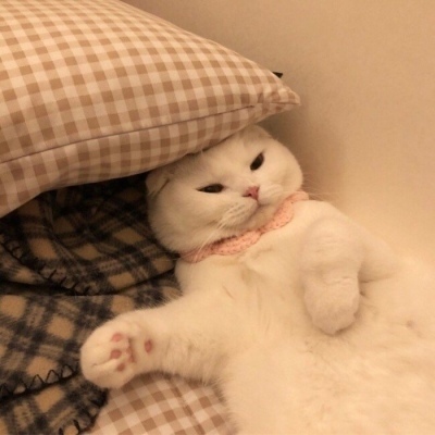 马斯克星链疯狂圈地，中美发射成本倒挂