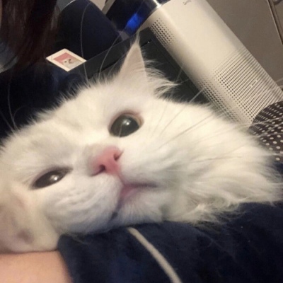 腊月后大寒，使劲吃这菜，1驱寒，2健脾胃，3增免疫